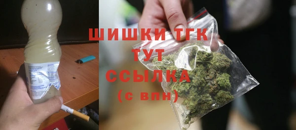 шишки Алексин