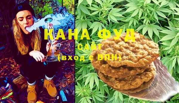 прущий лед Алзамай