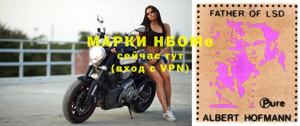 прущий лед Алзамай