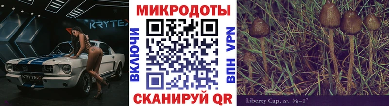 где найти наркотики Волжский Галлюциногенные грибы Psilocybine cubensis