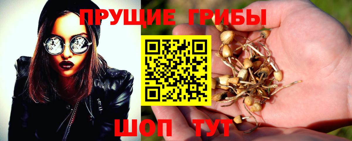 Галлюциногенные грибы Cubensis  Вход с VPN  Волжский 
